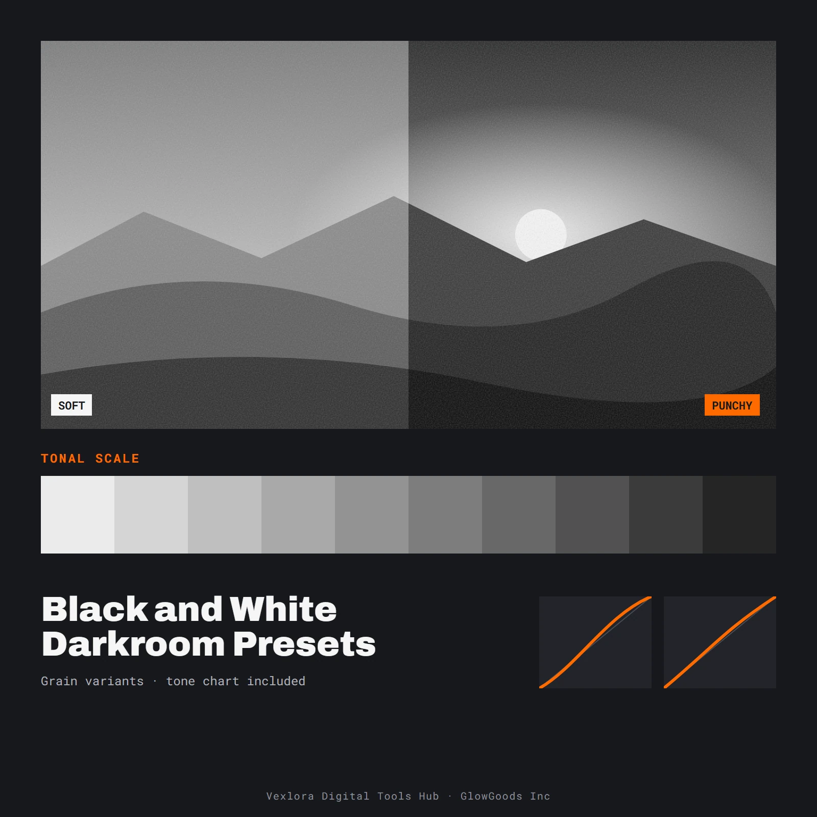 Preview of Black and White Darkroom Presets showing a row of monochrome tonal steps from light grey to near black with curve thumbnails